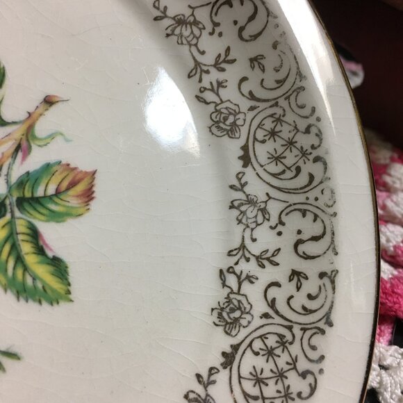 Seven Vintage Cornish Rose 22KT Gold Georgian Fine China Dessert Plates - Picture 14 of 16